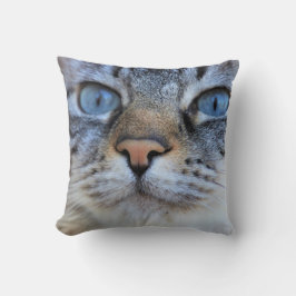 Almofada Gato de cinza