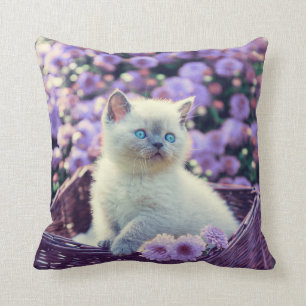 Almofada Gato De Gatinho Olhado Azul No Soquete Com Flores