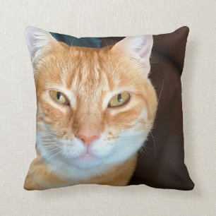 Almofada Gato de gato malhado alaranjado