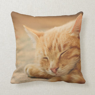 Almofada Gato de gato malhado alaranjado do sono