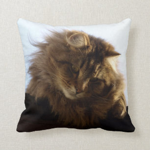 Almofada Gato de gato malhado do Longo-cabelo do racum de