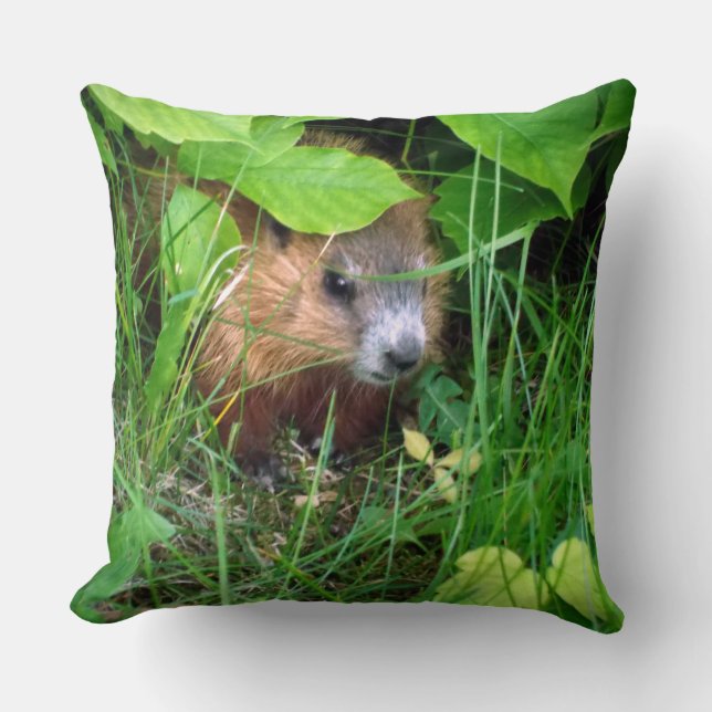 Almofada Gato de Groundhog Marmotte Murmeltier (Frente)
