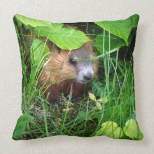 Almofada Gato de Groundhog Marmotte Murmeltier