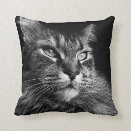 Almofada Gato de Maine Coon 16 x 16