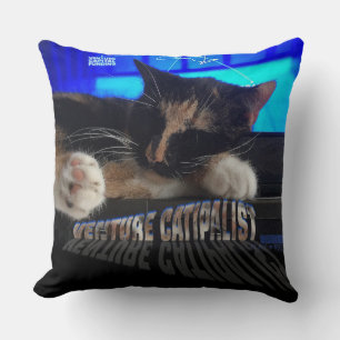 Almofada Gato do sono