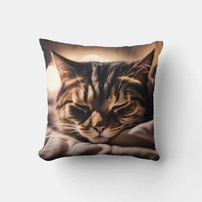 Almofada Gato Dormindo (Frente)