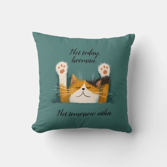 Almofada Gato Fofo e Divertido Dormindo (Frente)