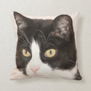 Almofada Gato, gatinho, travesseiro decorativo da cara do