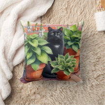 Gato Preto Sentado no Jardim de Hosta Amante de Ga