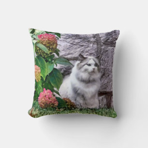 Almofada Gato Ragdoll Por Hydrangea