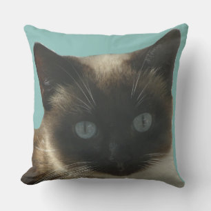 Almofada Gato Siamês com Travesseiro Azul Brilhante