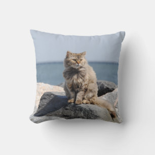 Almofada Gato Soprado pelo Vento à Beira-Mar Foto Fofa