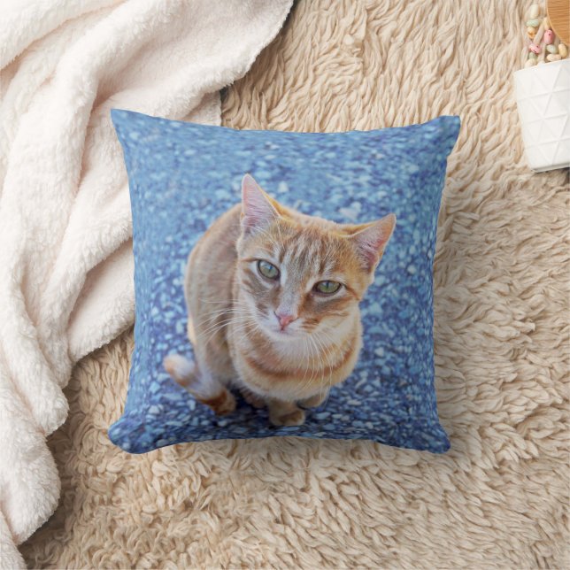 Almofada Gato vermelho e bonito em azul (Cobertor)