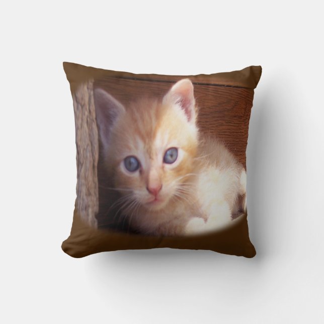 Almofada Gatos (Frente)