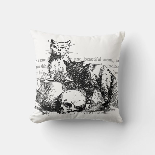 Almofada Gatos Misteriosos (Frente)
