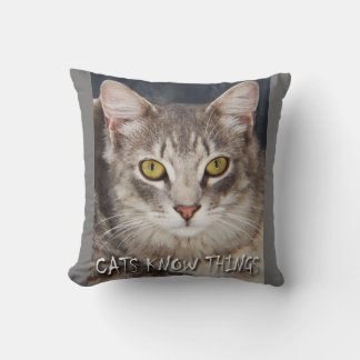 ALMOFADA GATOS SABEM COISAS