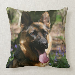 Almofada German shepherd