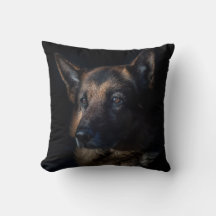 German shepherd a preto