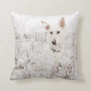 Almofada German shepherd branco na neve