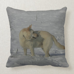 Almofada German shepherd branco na neve