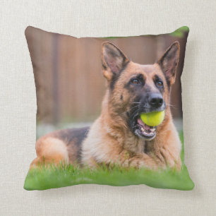 Almofada German shepherd Com Bola De Tênis