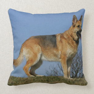 Almofada German shepherd de cabelos compridos 2 de Brown