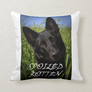 Almofada german shepherd preto podre estragado