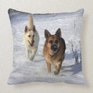 Almofada German shepherd que funcionam na neve