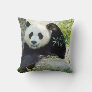 Almofada Giant Panda Andando Contra Árvore