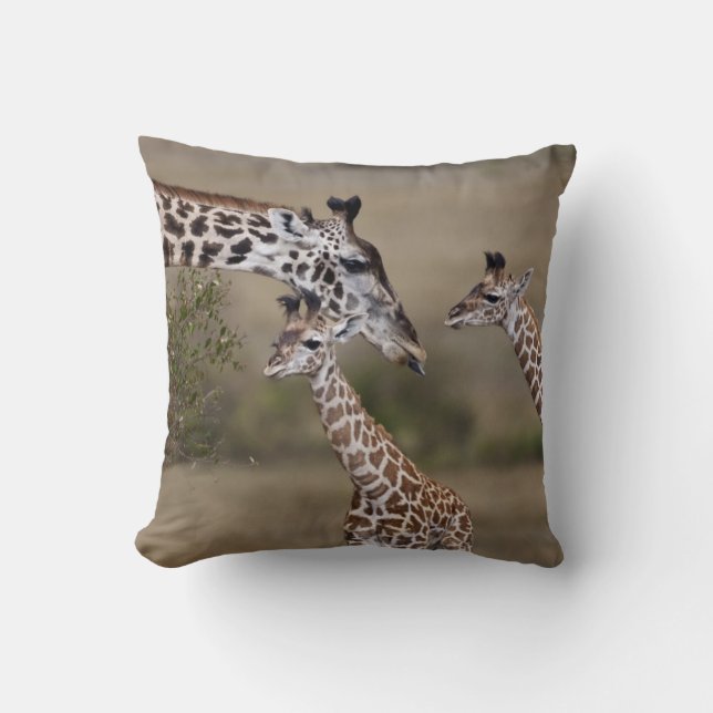 Almofada Girafa Masai (Giraffe Tippelskirchi) (Frente)