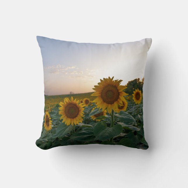 Almofada Girassóis ao anoitecer (Frente)