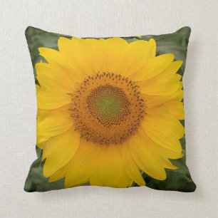 Almofada Girassol amarelo ensolarado