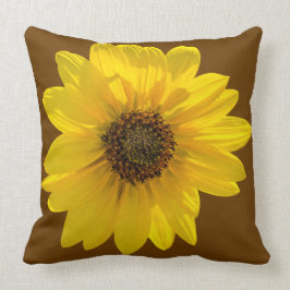 Almofada Girassol (Helianthus) iluminado de trás pelo sol