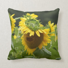 Almofada Girassol na chuva