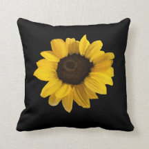 Girassol realista sobre fundo preto