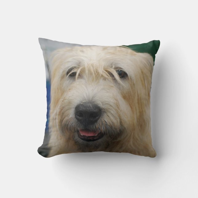 Almofada glen-of-imaal-terrier-7.jpg (Frente)