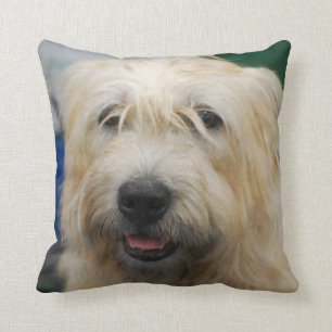 Almofada glen-of-imaal-terrier-7.jpg