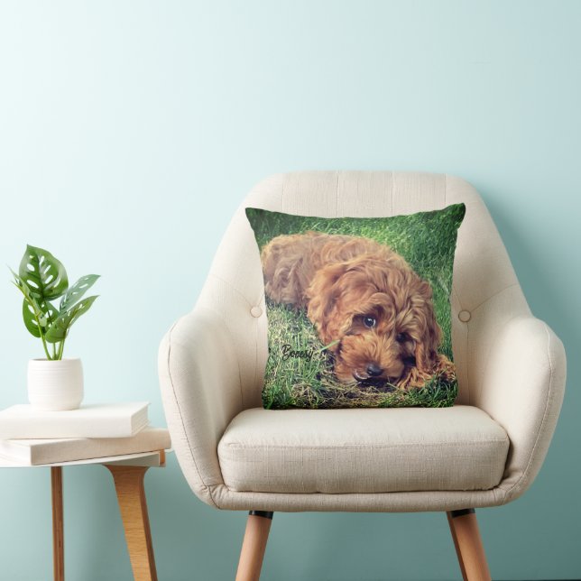 Almofada Golden Doodle Fofo (Cadeira)