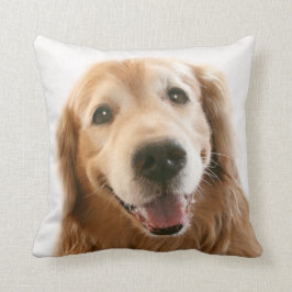 Almofada Golden retriever de sorriso