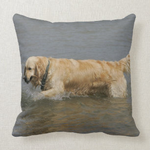 Almofada Golden retriever na água