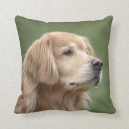Almofada Golden retriever no close up