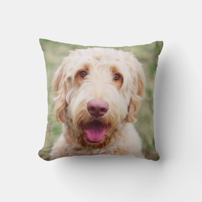 Almofada Goldendoodle sorrindo (Frente)