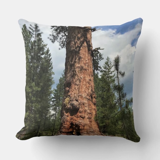 Almofada Grande Árvore Vermelha, La Pine, OU (Frente)