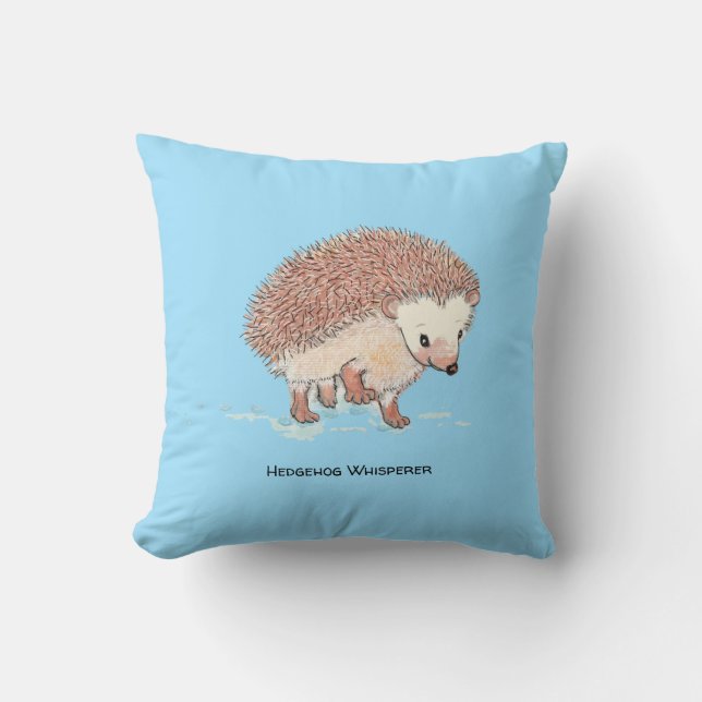Almofada Grande Aventura de Hedgehog (Frente)