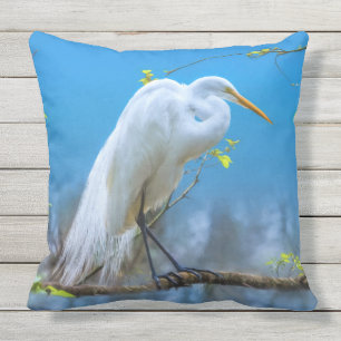 Almofada Grande Egret em uma árvore