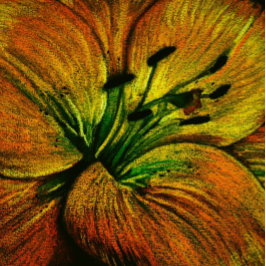 Almofada grande flor abstrato amarelo contemporânea