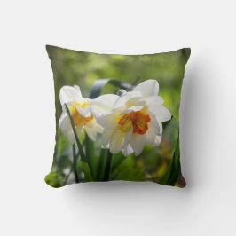 Almofada Grandes narcisos brancos em um dia de primavera
