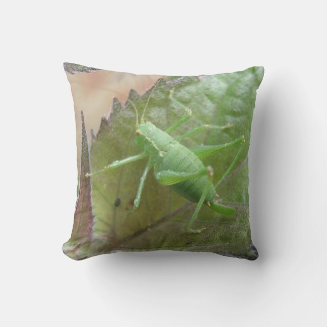 Almofada Grilo verde em um travesseiro da folha (Frente)