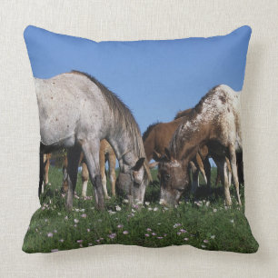 Almofada Grupo de cavalos do Appaloosa que pastam