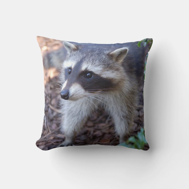 Almofada guaxinim Racoon (Frente)